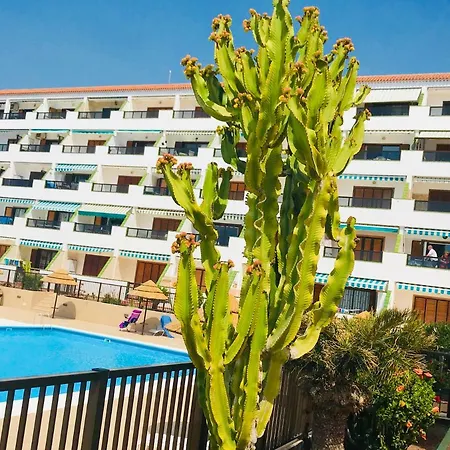 Lejlighed Atlantic View - Quiet, Peaceful And Windless With Fantastic Ocean View