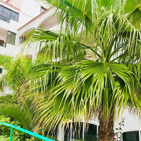 Atlantic View - Quiet, Peaceful And Windless With Fantastic Ocean View Lejlighed