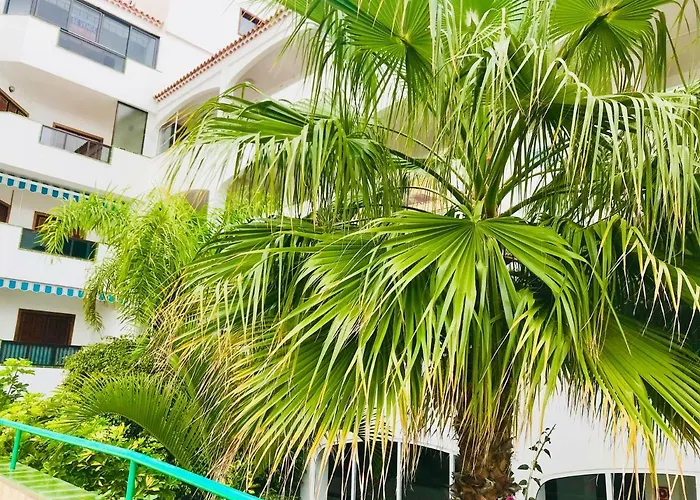 Atlantic View - Quiet, Peaceful And Windless With Fantastic Ocean View Appartement