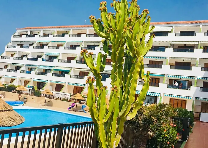 شقة Atlantic View - Quiet, Peaceful And Windless With Fantastic Ocean View